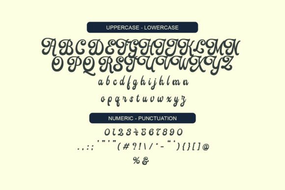 Felicya Font - Preview 6