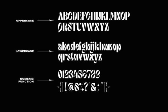 Goven Font - Preview 4