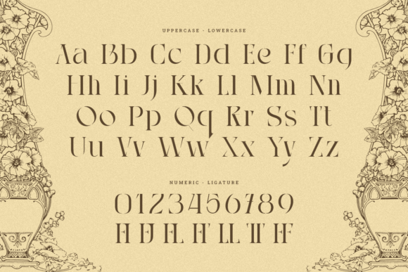 Ouassila Font PNG with transparent background - Preview 1