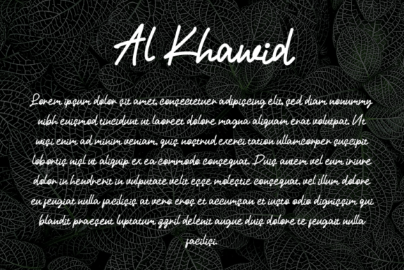 Al Khawid Font - Preview 2