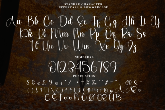 Autumn Behinding Font - Preview 5