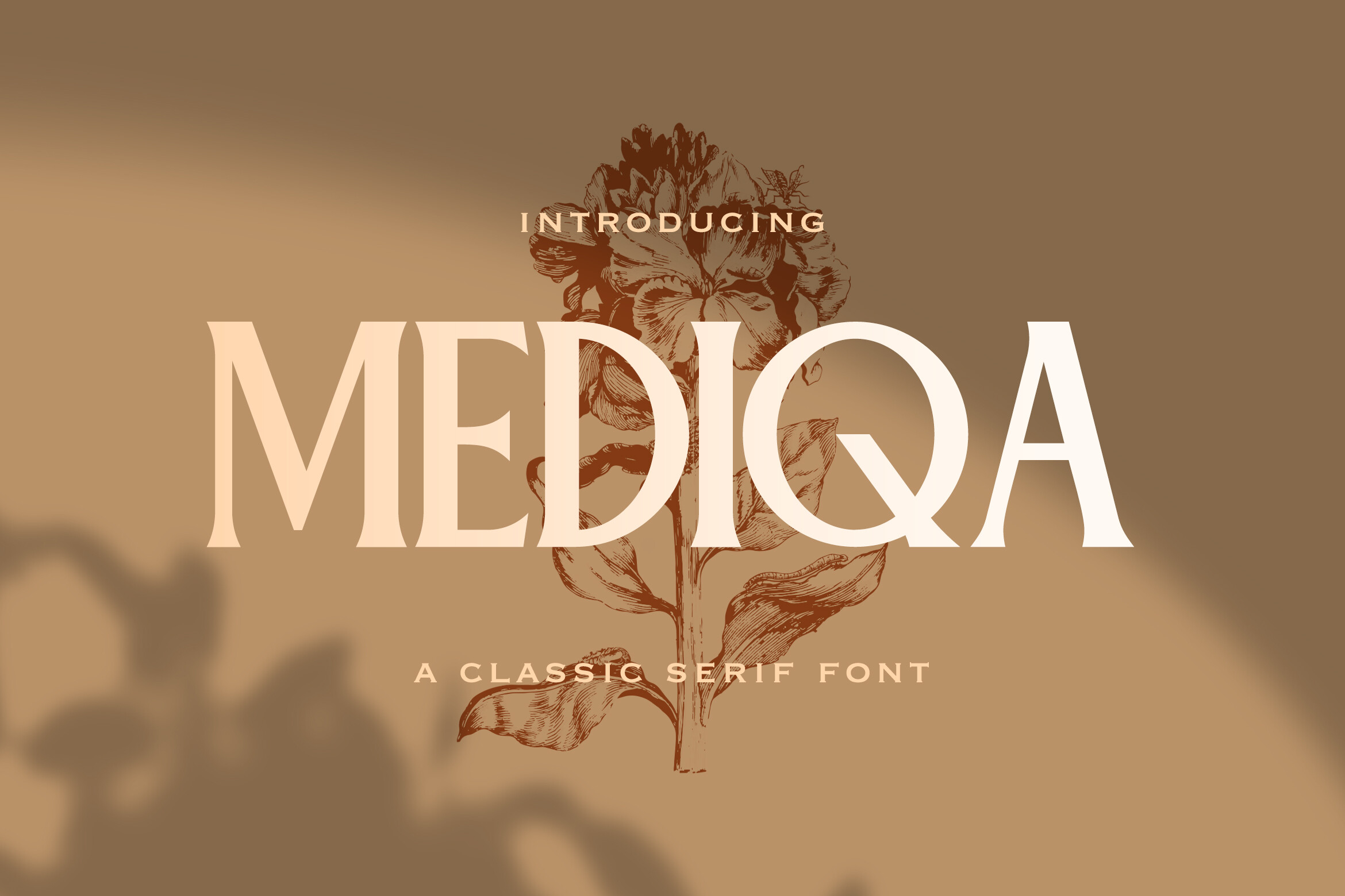 Mediqa font preview