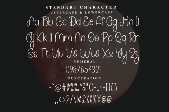 Aurelia Signature Font - Preview 4