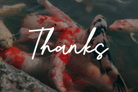 Baby Salmon Font font preview - 6