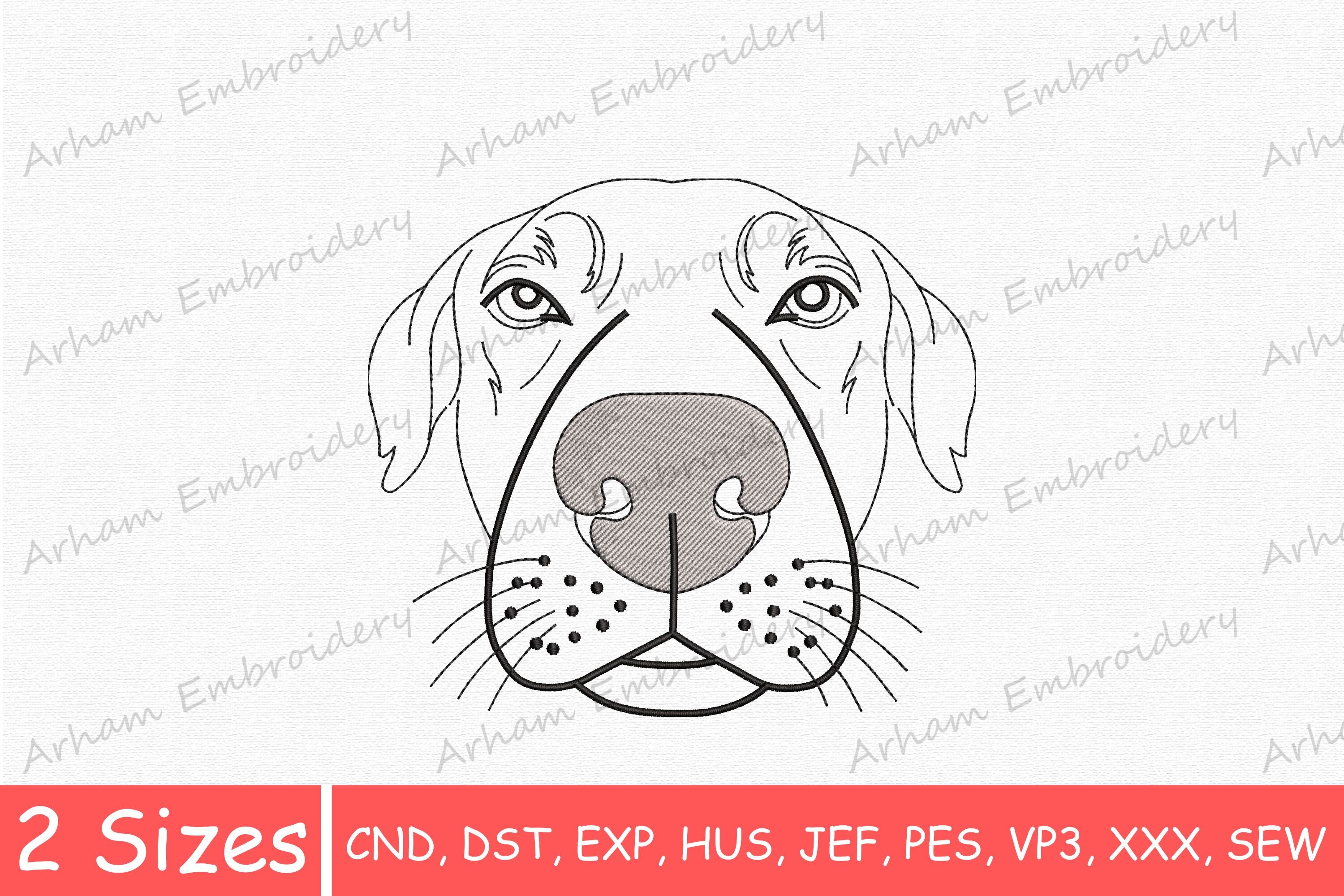 Cute Dog Face Portrait