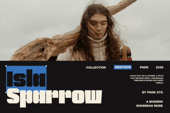 Mogin Font PNG with transparent background - Preview 2