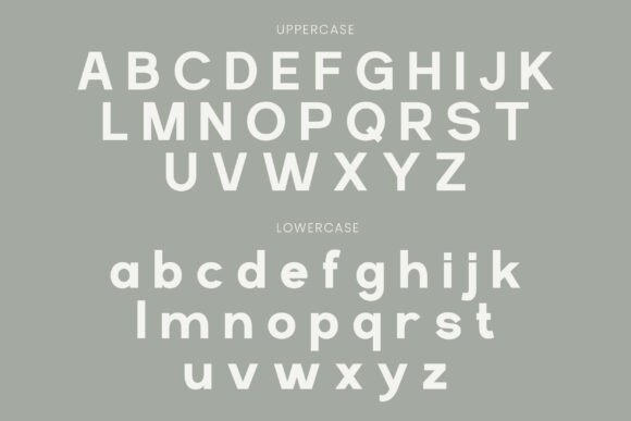 Norqen Font PNG with transparent background - Preview 2