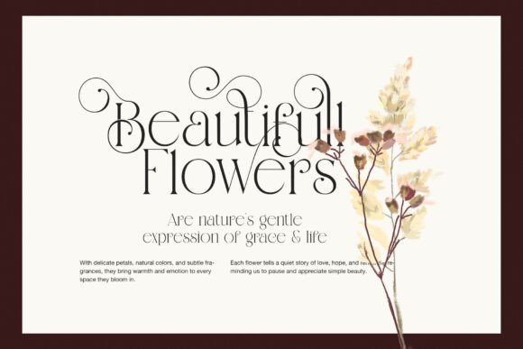 Savira Font PNG with transparent background - Preview 3