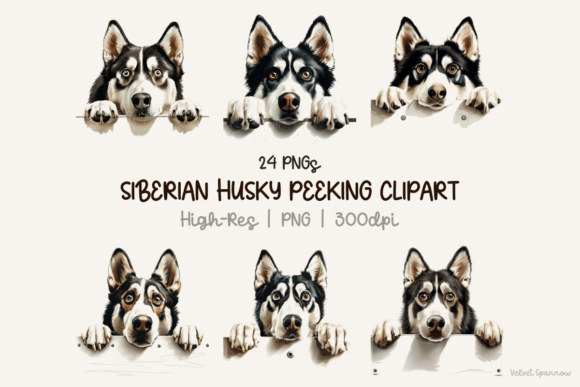 Siberian husky peeking clipart PNG for funny Cricut shirt pocket placement and mug sublimation