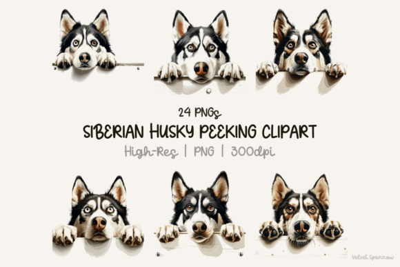 Siberian Husky Peeking Clipart PNG for sublimation shirts and ornament blanks