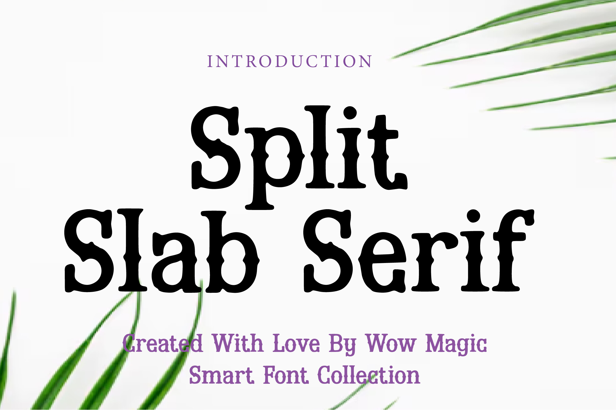 Split Slab Serif preview