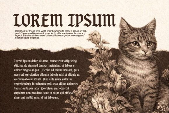 Baheula Font - Preview 2