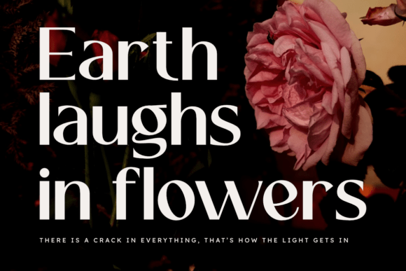 Bloom Derma Font - Preview 3