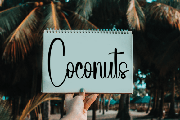 Country Skiny Font PNG with transparent background - Preview 2