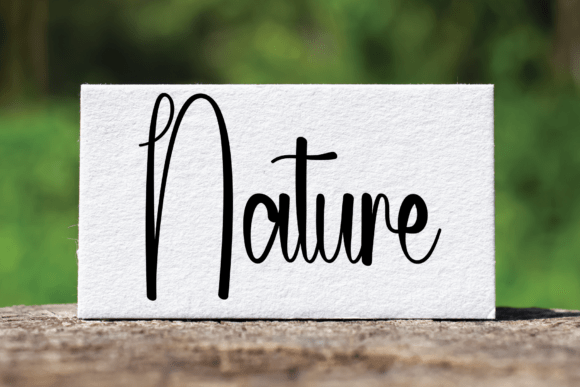 Country Skiny Font PNG with transparent background - Preview 3