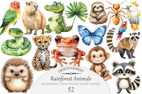 Rainforest Animals Clipart Graphic by Design Market · Creative Fabrica