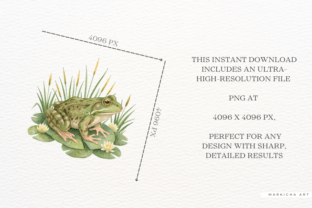 Summer Frog Pond Clipart Graphic by Markicha Art · Creative Fabrica