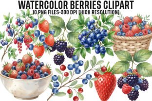 Watercolor Berries Clipart PNG Graphic by Creative Print · Creative Fabrica