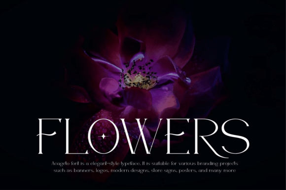 Acageto Font PNG with transparent background - Preview 1