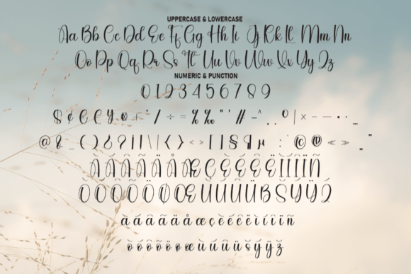 Aesthetic Font - Preview 6