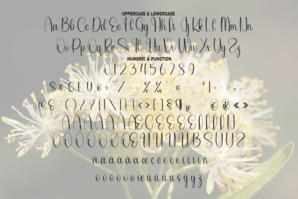 Angelia Font - Preview 6