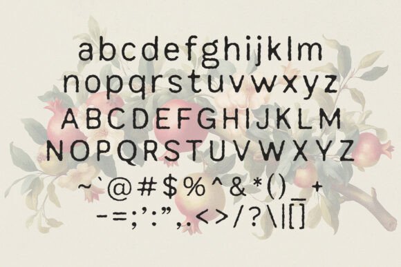 Archive Foundry Font - Preview 3