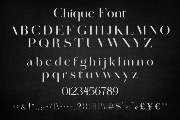 Chique Font - Preview 6