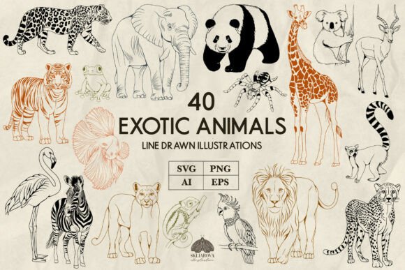 Animals Line Plot Exotic Animals Line Art Svg Png Graphic by HappyWatercolorShop ...