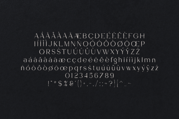 Garner Font - Preview 4