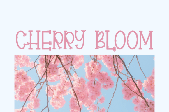 Rillwood Font PNG with transparent background - Preview 2