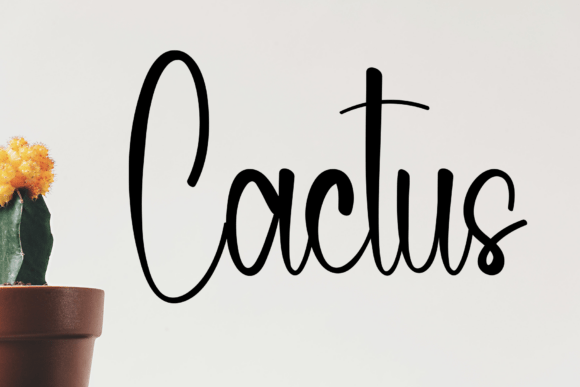 Selmaraia Font PNG with transparent background - Preview 1