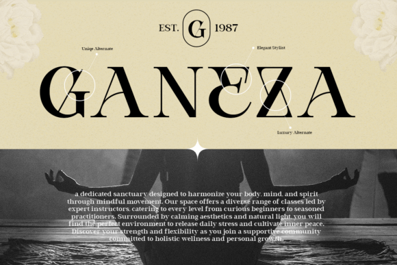 Bevola Font - Preview 2