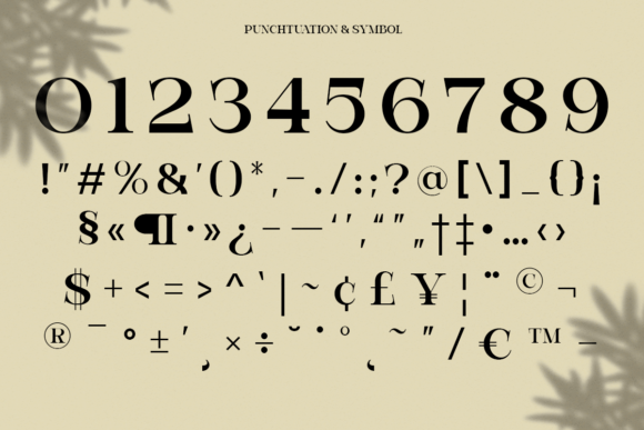 Bevola Font - Preview 4