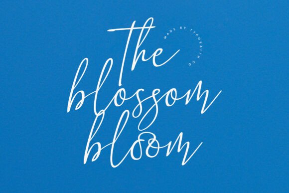 Blush Couture Font - Preview 1