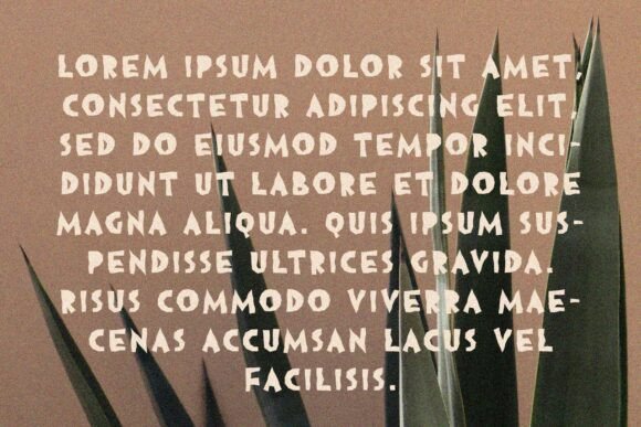 Brotha Font - Preview 6