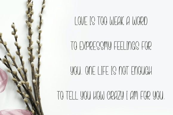 Carolina Font - Preview 2