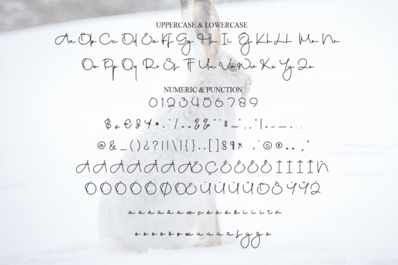 Rabbitwinter Font PNG with transparent background - Preview 6