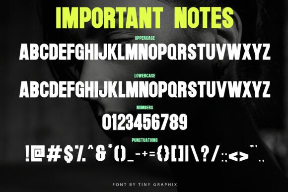 Important Notes Font PNG with transparent background - Preview 2