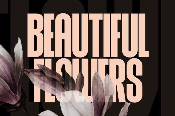 Rovex Font PNG with transparent background - Preview 2