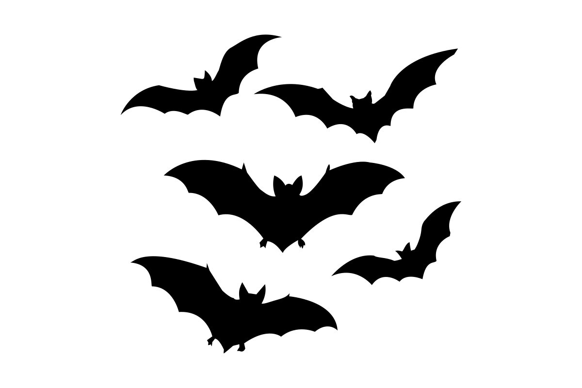 Silhouette Bats in Flight for Halloween