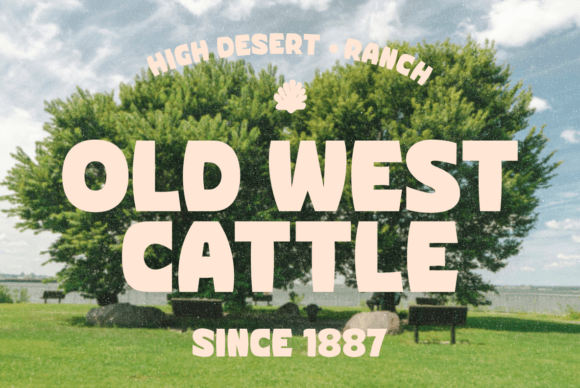 Corva Bold Inside Font - Preview 5