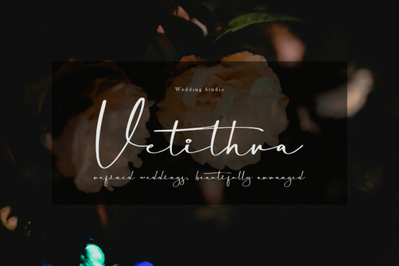 Kostaciya Font PNG with transparent background - Preview 5
