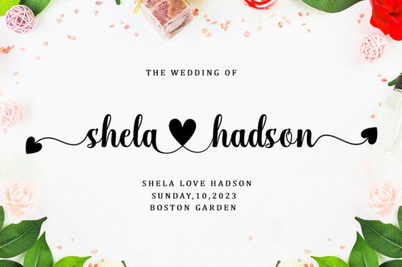 Abella Bosley Font - Preview 1