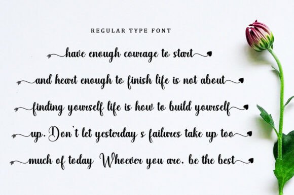 Abella Bosley Font - Preview 2