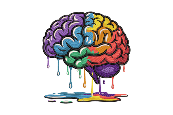 Anatomy Brain