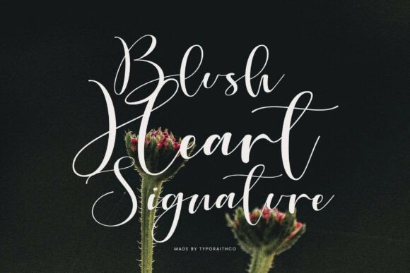 Cartney Font - Preview 3
