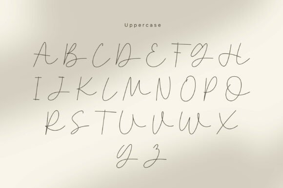 Naykilla Font PNG with transparent background - Preview 6