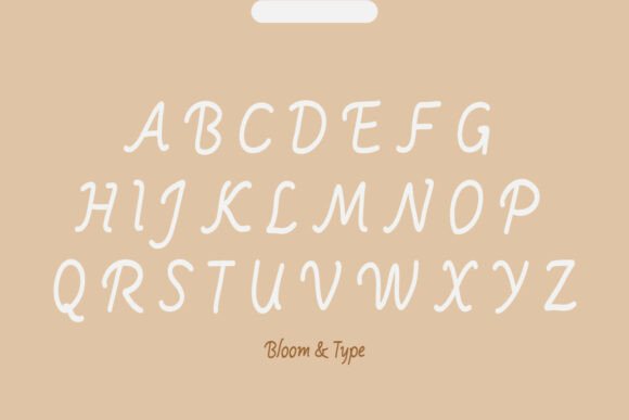 Bodivara Font - Preview 2