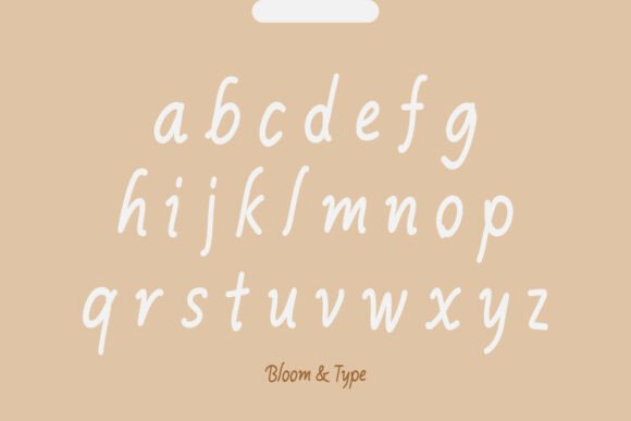 Bodivara Font - Preview 4