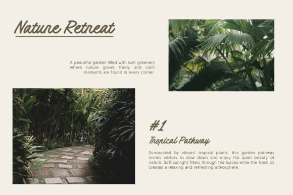 Caylin Font - Preview 1